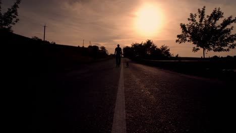 silhouette of a man walking with his pet along lonely road