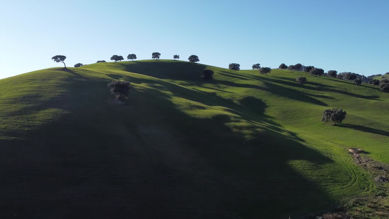 toma aérea con drones en una hermosa y tranquila pradera en un día soleado de verano, sevilla, españa