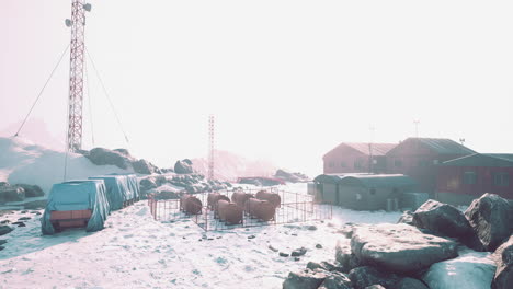 view of old antarctic base at south pole station in antarctica