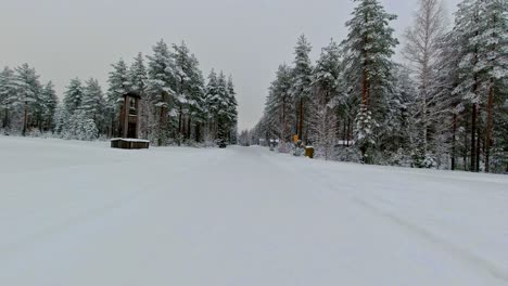 driving pov through frozen forest landscape overcast northern climate