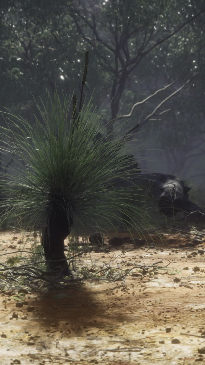 Sunlight pierces the foliage