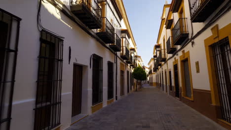 narrow spanish alleyway with white buildings