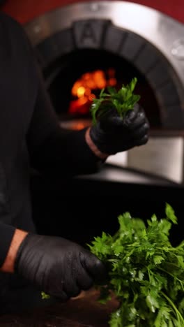 chef preparing fresh parsley