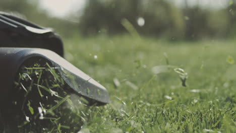 robot lawn mower cutting grass