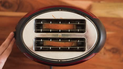 sliding sliced white bread inside a toaster on kitchen table breakfast