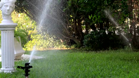 garden sprinkler during watering the green lawn on a sunny summer day