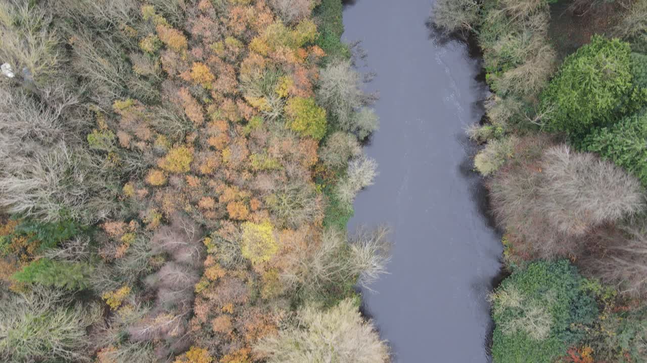 Autumn forest fall season river Liffey Dublin Ireland aerial