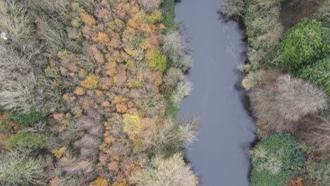 Herbstwald-Herbstsaison-Fluss-Liffey-Dublin-Irland-Antenne