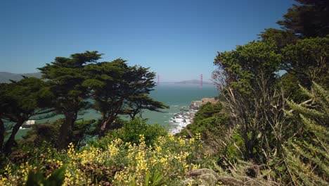 handheld static shot of the iconic golden gate bridge through trees from the pacific ocean side near land's end in san francisco