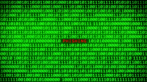 palabra de phishing revelando en la pared de código binario verde entre el fondo de la matriz de datos binarios aleatorios