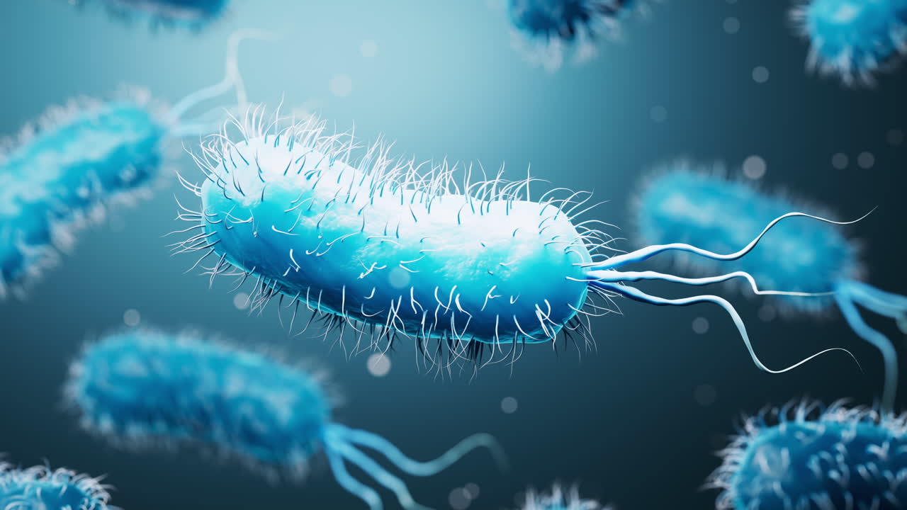 Microscopic biomedical bacteria structure, 3d rendering