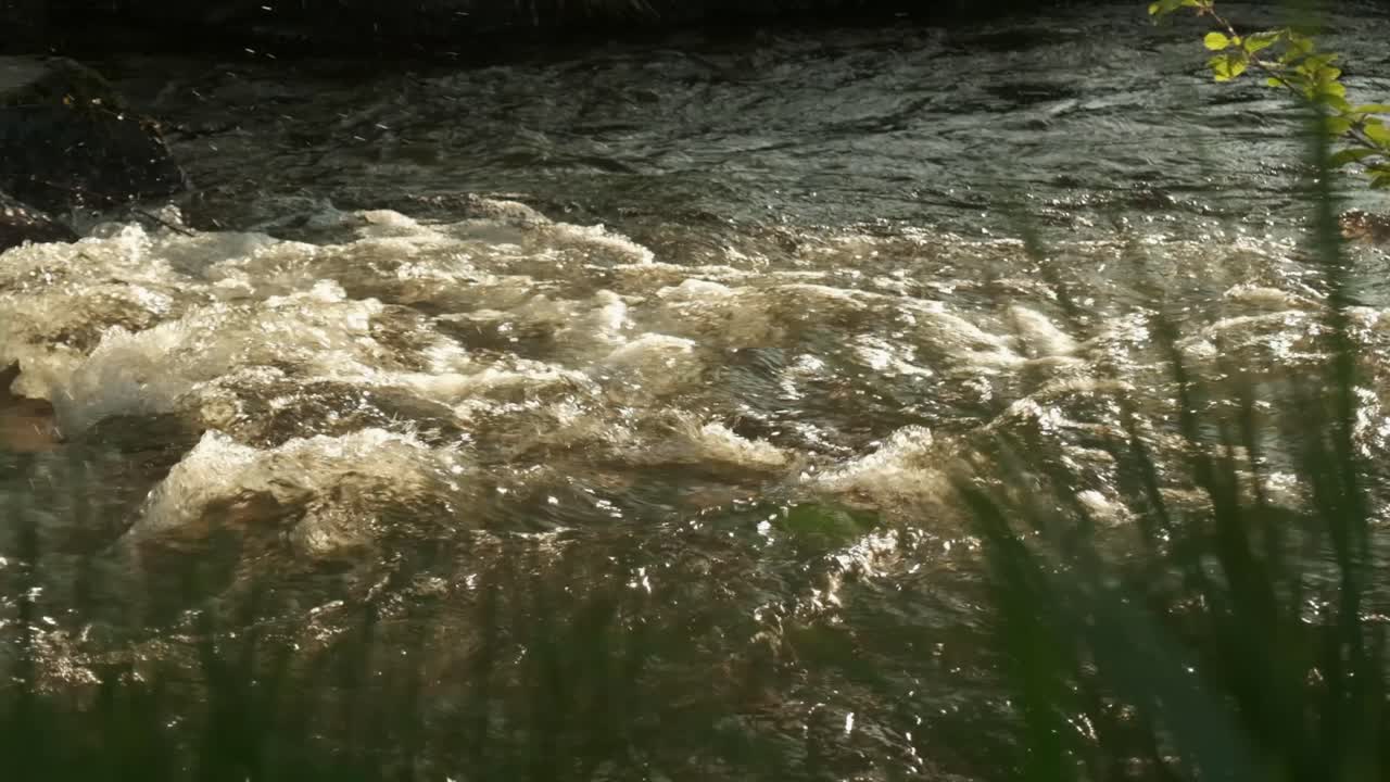 Bubbling river stream during evening sunset vibe with grass and shadows 4K 120p slow motion