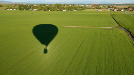 hot air balloon shadow moving across field