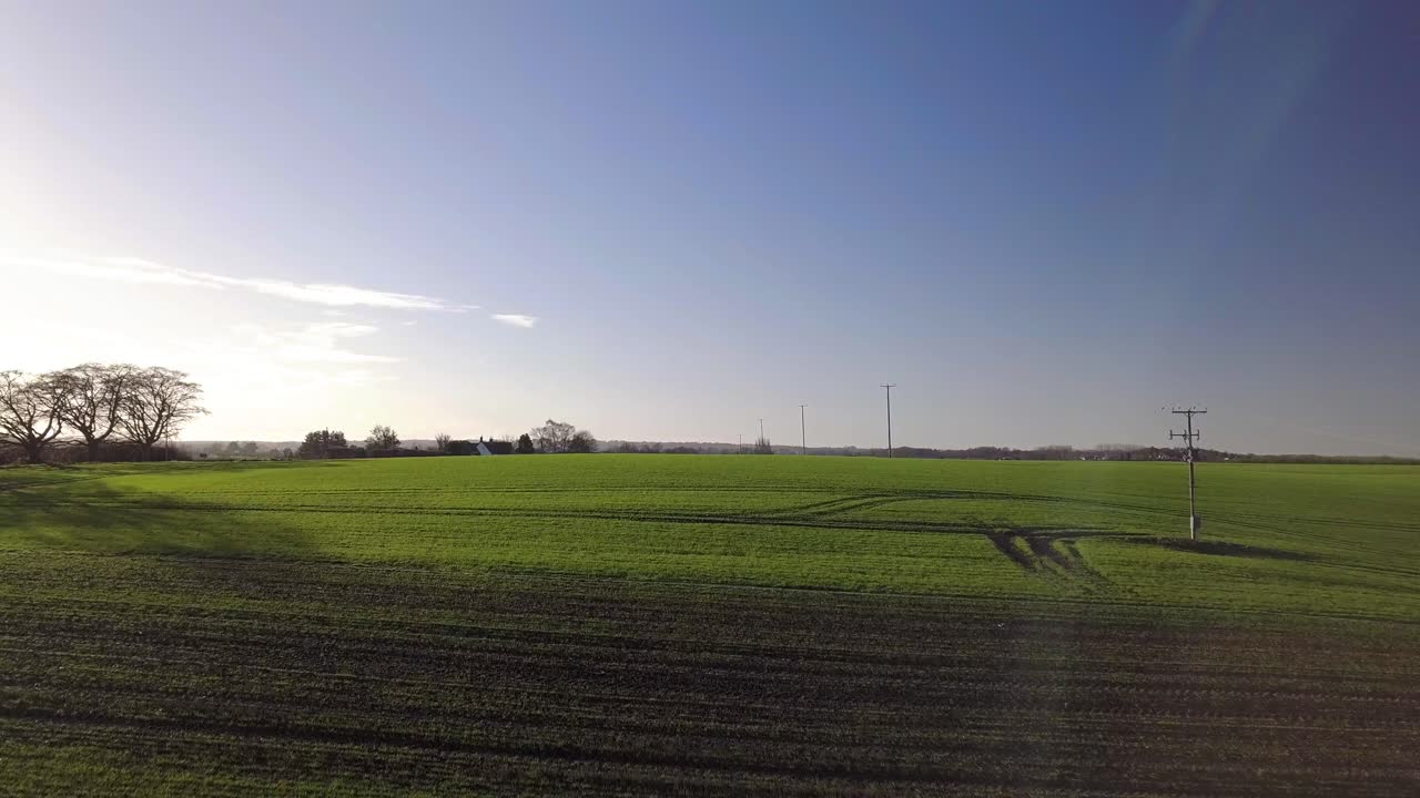 Aufsteigende Drohnenaufnahme von sanften grünen Feldern und blauem Himmel