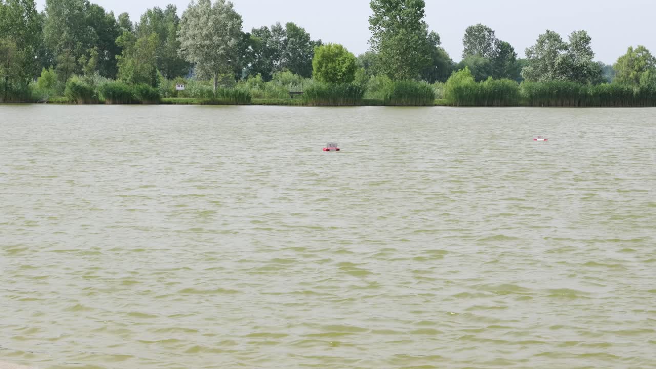 나무로 둘러싸인 수영하는 호수의 표면을 바라보는 시야를 구축합니다.