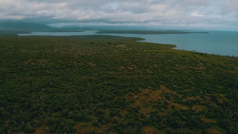 volar sobre un bosque hacia el mar y alguna isla durante un día nublado