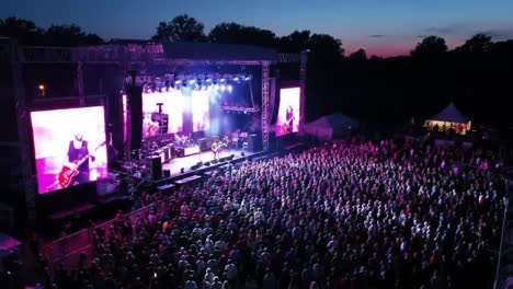 crowd at a night music concert
