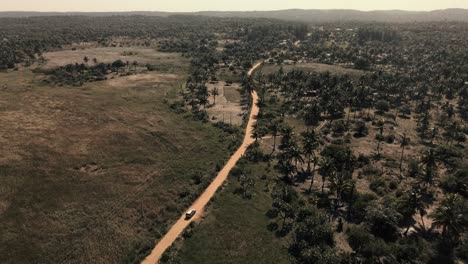 Aerial-tracking-shot-of-a-car-driving-along-a-dirt-road-through-a-sparse-forest