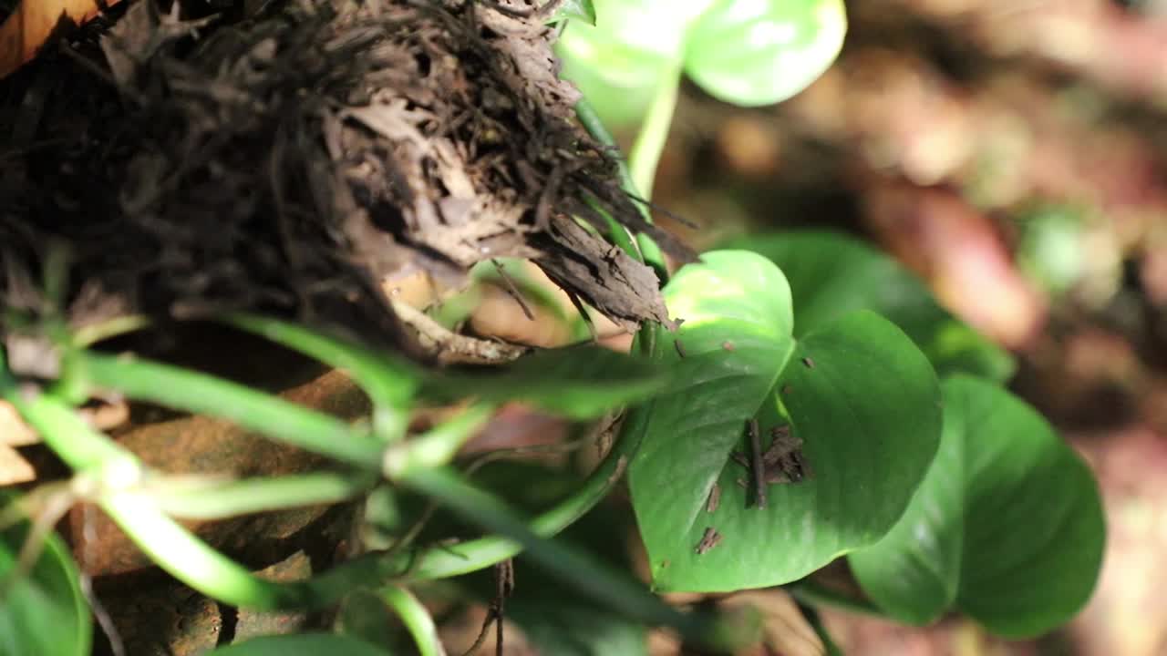 슬로우 모션 움직임