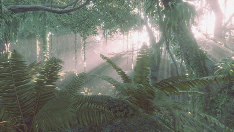 photo inside a rainforest covered in bright green moss