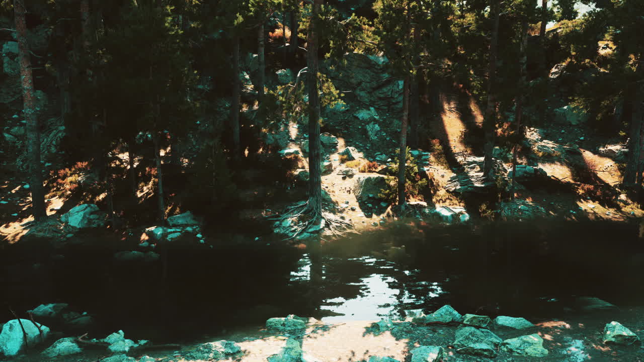 el lago del bosque sereno