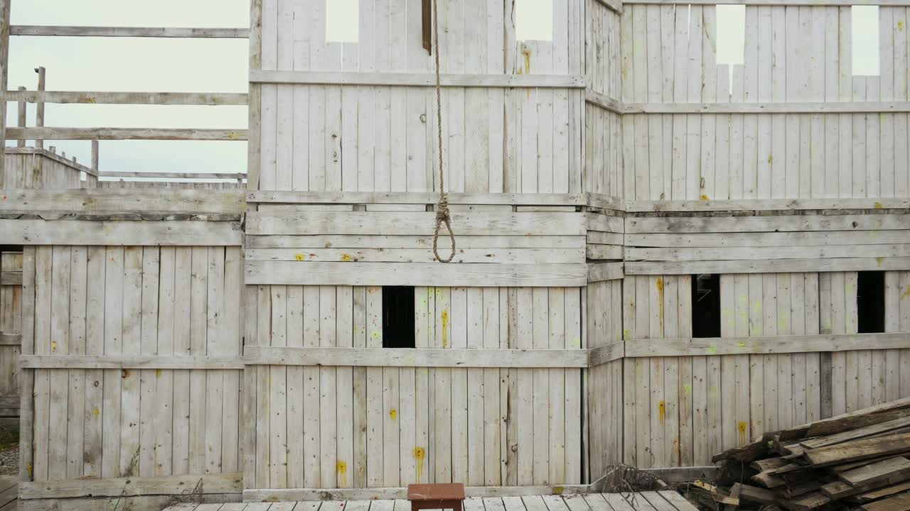 전망: 자살을 위한 튼튼한 로프와 함께 교수형 4k 나무 배경