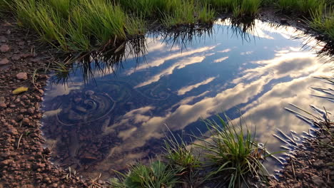 sky and clouds reflected in a puddle
