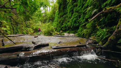 Flowing forest stream with hikers exploring Fern Canyon