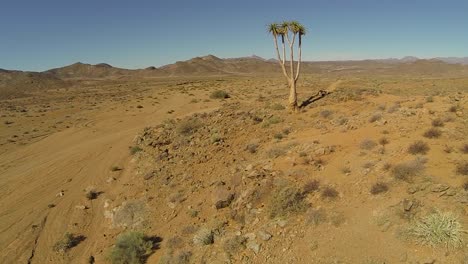 Richtersveld-Trans-Frontier-Park,-South-Africa