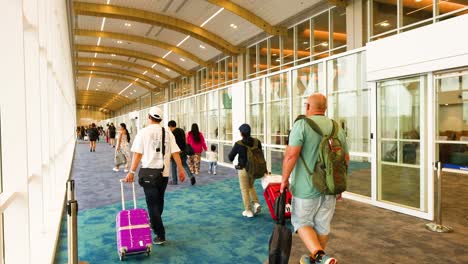 people with luggage walking in airport terminal