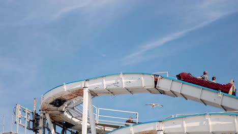 people enjoying a water coaster ride