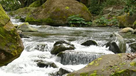 Pequeña-Corriente-De-Agua-Que-Corre-A-Través-De-Las-Rocas-En-El-Bosque