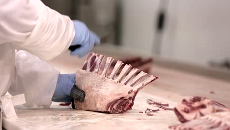 processing meat in a meat processing plant