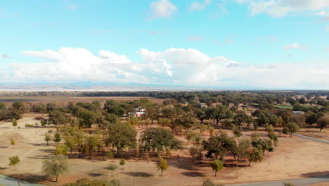 aerial drone shot sweeping forward flight over rural farm lands with oak trees