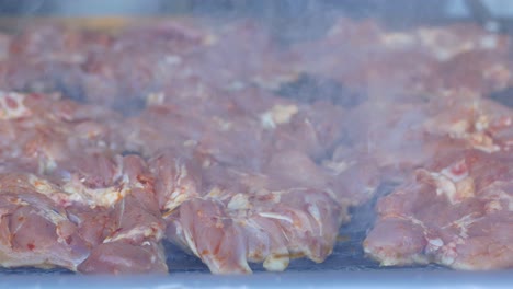 grilled chicken pieces
