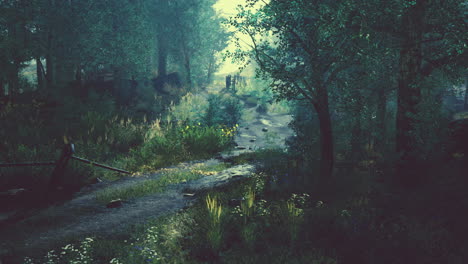 old-wooden-fence-and-hiking-path-through-forest