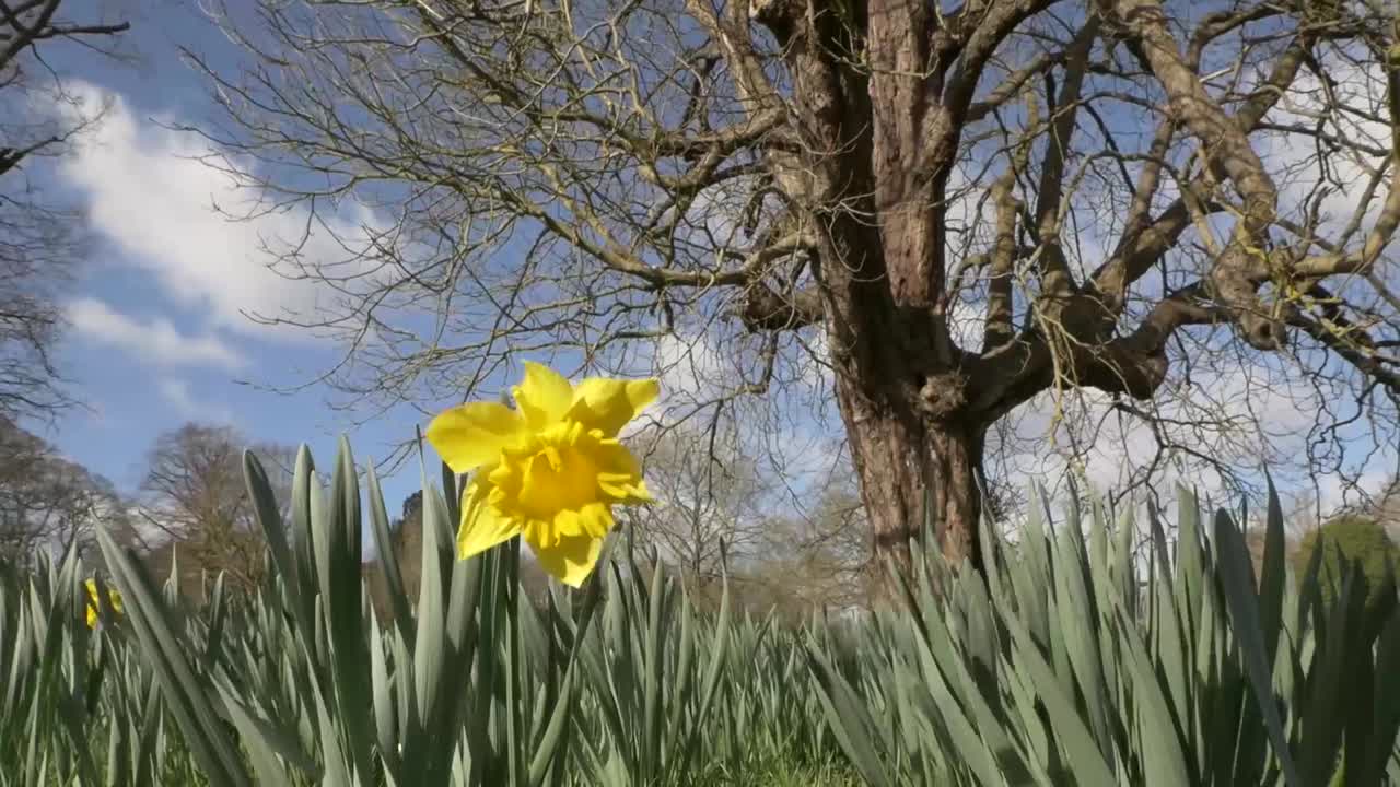A great little moment in the windy nature