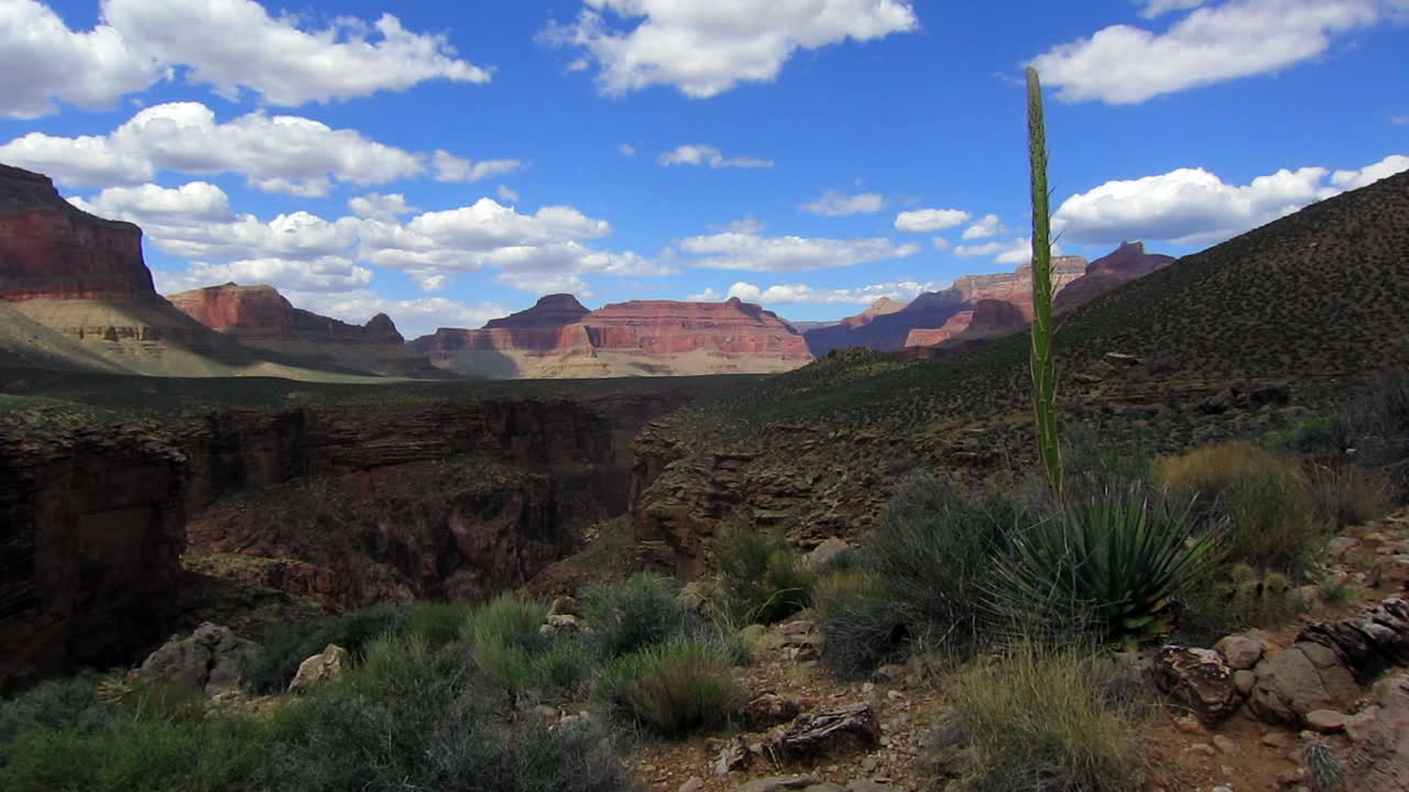 hermoso lapso de tiempo sobre el desierto del gran cañón con planta de yuca
