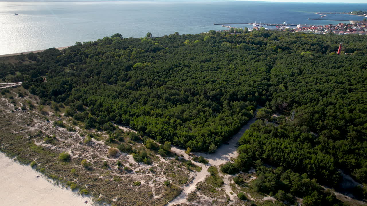 vista panorámica aérea del bosque y la playa