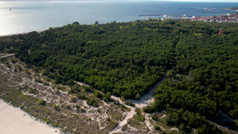 Vista-Panorámica-Aérea-Del-Bosque-Y-La-Playa