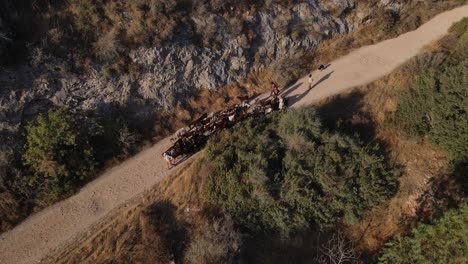 drone shot of goats passing by on the pathway