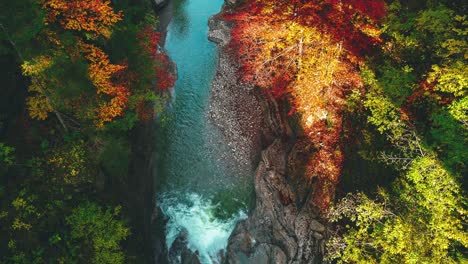 4k-Uhdcinemagraph---Bucle-De-Vídeo-Continuo-De-Un-Río-De-Montaña-En-Los-Alpes-Alemanes-Bávaros,-Cerca-Del-Lugar-De-Nacimiento-De-Mozart-Y-Sylvenstein-En-Otoño