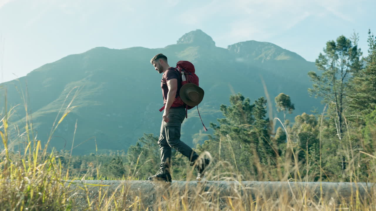 산책, 하이커 또는 남자 트레킹 자연에서