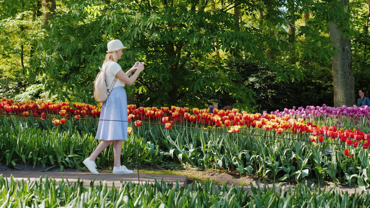 turista caminha no amsterdam keukenhof park