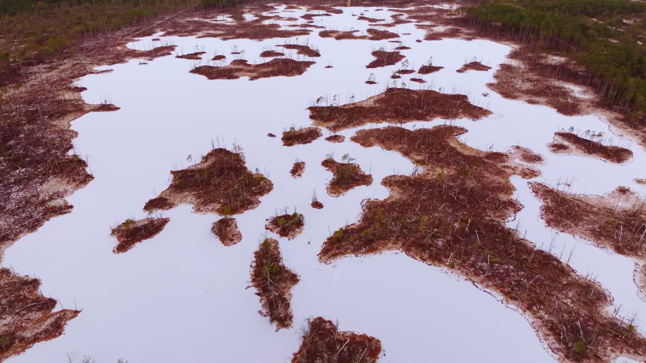 Frozen lake, scattered marsh islands viewed from above in Cenu Tīrelis, Latvia