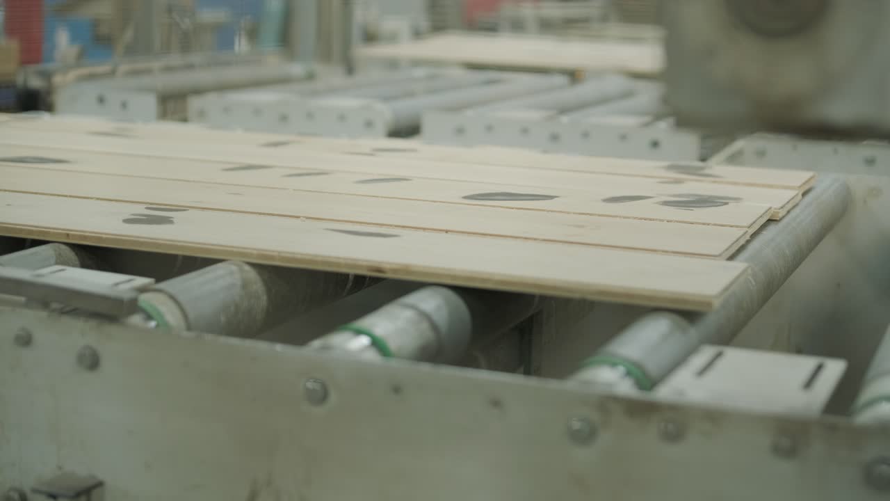 Assi di legno in movimento su nastro trasportatore in una falegnameria.