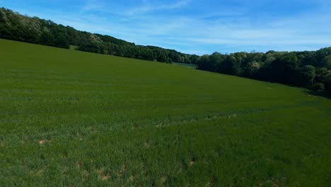 tiro de drone fpv - vuelo sobre campo verde y alrededor de un contenedor rojo