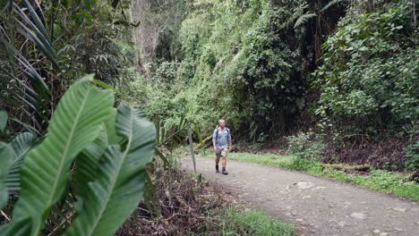 caucasian man walks up gravel road hill in lush dense colombian jungle