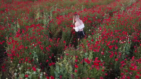 aerial view of a young woman collecting flowers at a poppy field