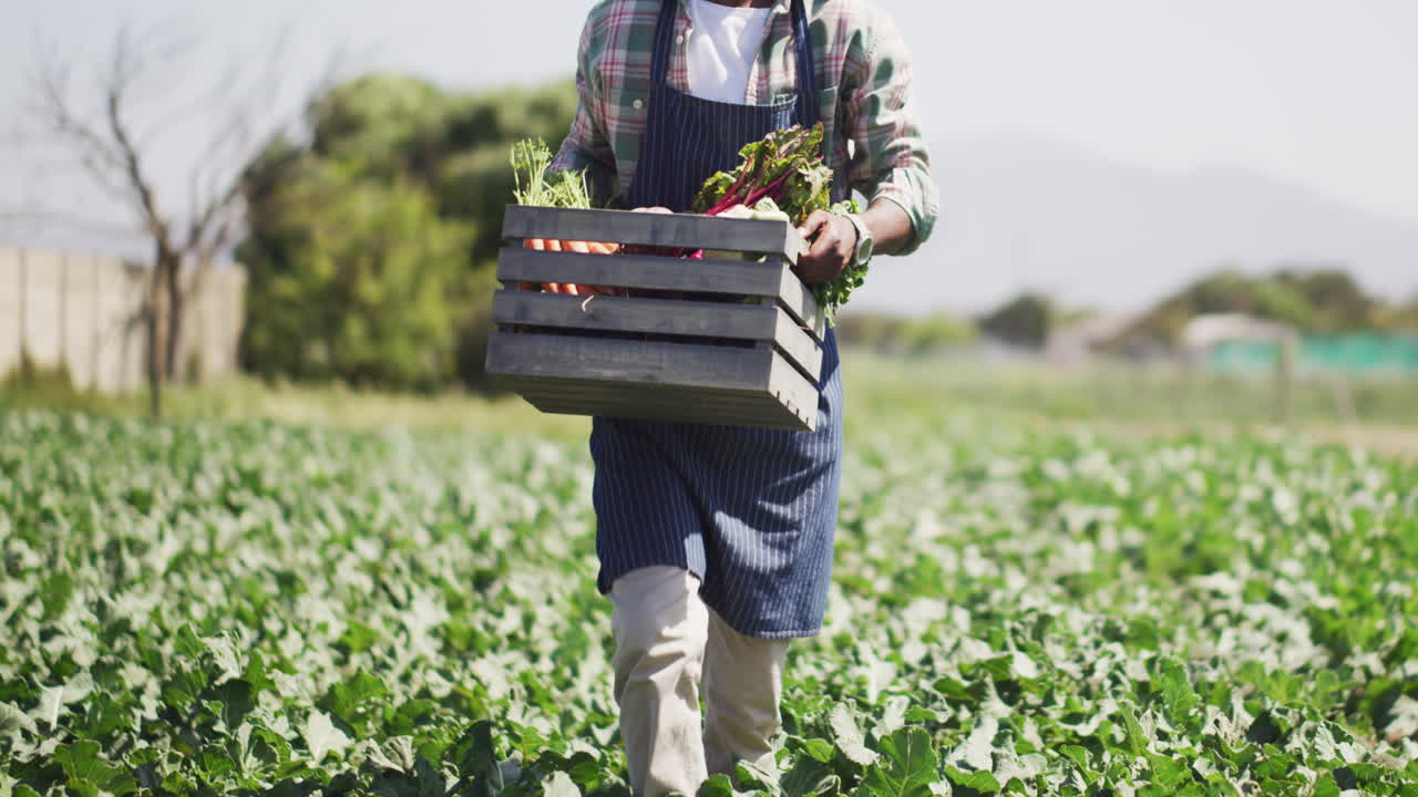 Who doesn't look forward to harvest time?